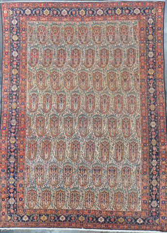 persian senneh 8.7 x 11.10 wool antique #34375