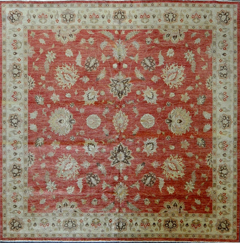 peshawar pakis 9.8 x 9.10 #88313